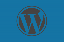 220. Cómo actualizar, correctamente, a WordPress 5.8